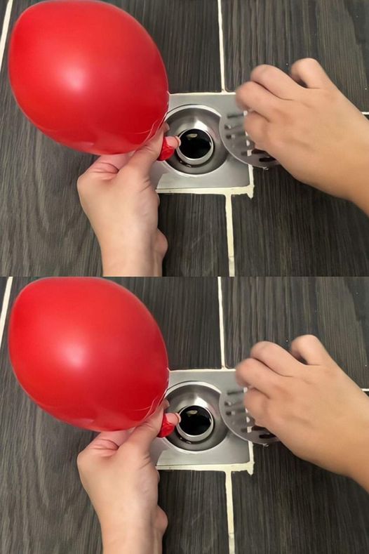 435977623 122147981930094163 4952484996797023834 N