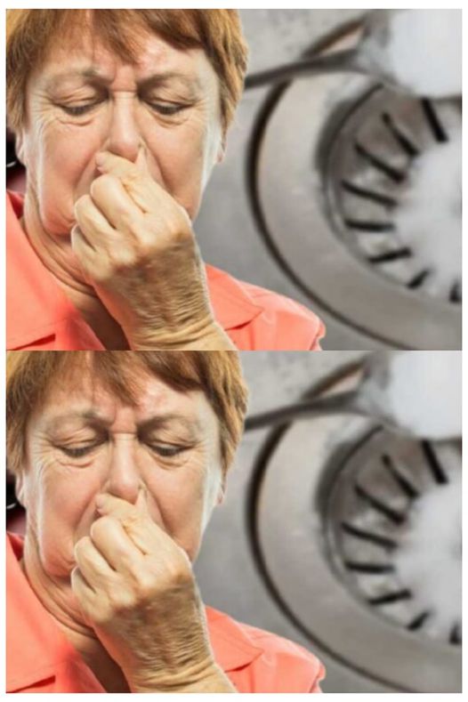 440855663 290566584107302 3894236458224662442 N
