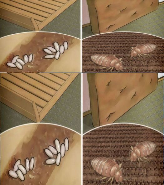 438300089 122145065348101589 7928792660496589787 N