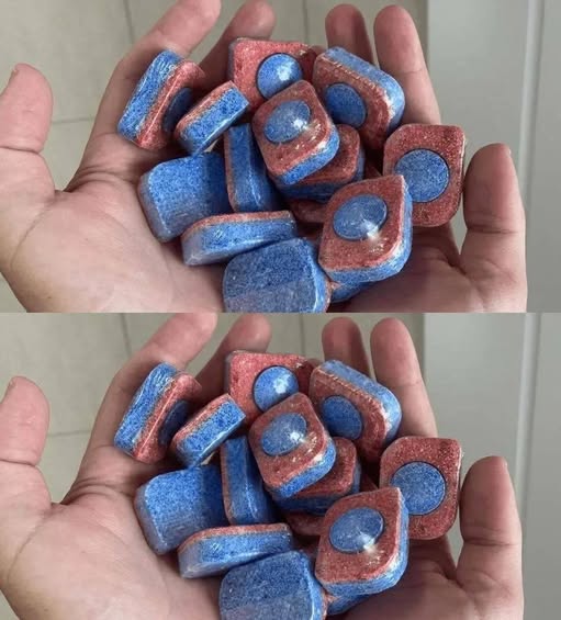 481107805 2204634923311595 7473427860992284597 N