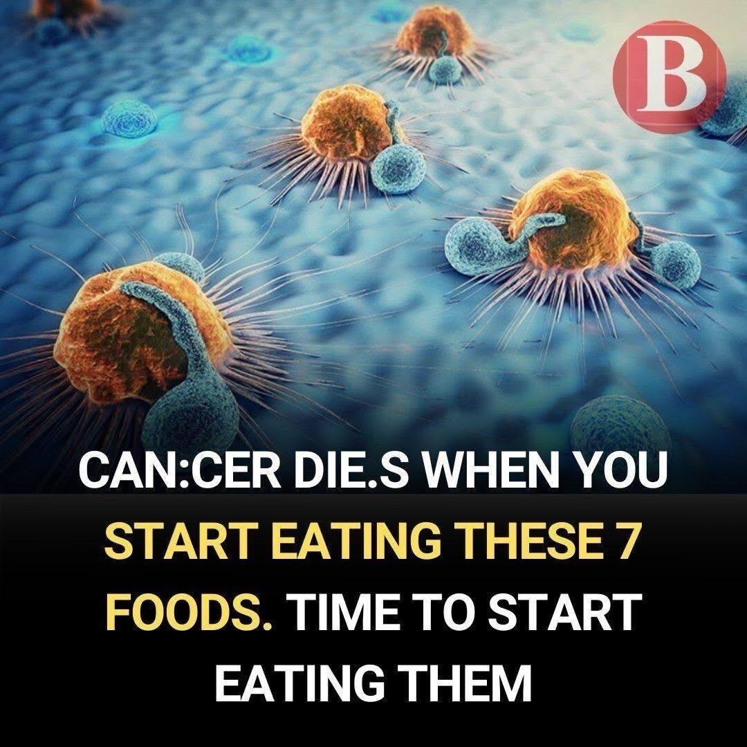 571131849 792317150443847 2031323351674200266 N